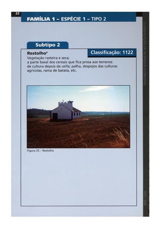 Classificacao de incendios florestais