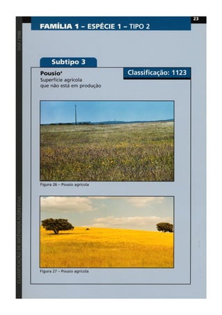 Classificacao de incendios florestais