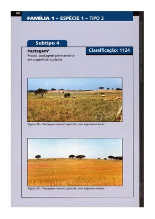 Classificacao de incendios florestais