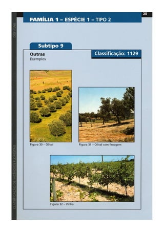 Classificacao de incendios florestais