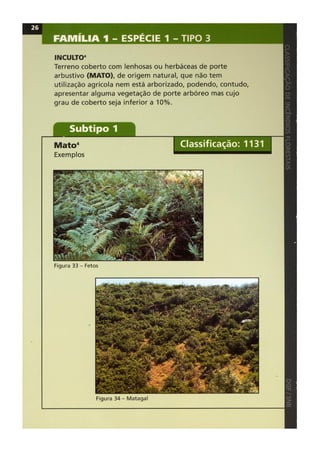 Classificacao de incendios florestais