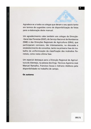 Classificacao de incendios florestais