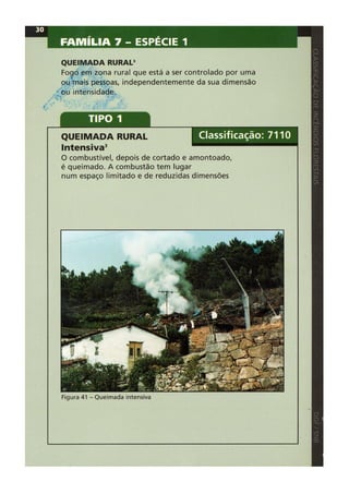 Classificacao de incendios florestais