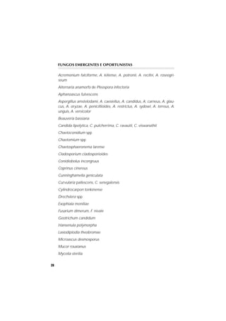 20
FUNGOS EMERGENTES E OPORTUNISTAS
Acremonium falciforme, A. kiliense, A. potronii, A. recifei, A. roseogri-
seum
Alternaria anamorfo de Pleospora infectoria
Aphanoascus fulvescens
Aspergillus amstelodami, A. caesiellus, A. candidus, A. carneus, A. glau-
cus, A. oryzae, A. penicillioides, A. restrictus, A. sydowi, A. terreus, A.
unguis, A. versicolor
Beauveria bassiana
Candida lipolytica, C. pulcherrima, C. ravautii, C. viswanathii
Chaetoconidium spp
Chaetomium spp
Chaetosphaeronema larense
Cladosporium cladosporioides
Conidiobolus incongruus
Coprinus cinereus
Cunninghamella geniculata
Curvularia pallescens, C. senegalensis
Cylindrocarpon tonkinense
Drechslera spp
Exophiala moniliae
Fusarium dimerum, F. nivale
Geotrichum candidum
Hansenula polymorpha
Lasiodiplodia theobromae
Microascus desmosporus
Mucor rouxianus
Mycelia sterilia
 