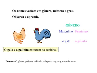Os nomes variam em género, número e grau. Observa e aprende. O  galo  e a  galinha  entraram na cozinha. GÉNERO Masculino   Feminino   o   galo   a   galinha Observa: O género pode ser indicado pela palavra  a  ou  o  antes do nome. 