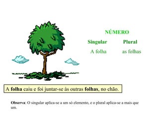 NÚMERO Singular   Plural A folha   as folhas A  folha  caiu e foi juntar-se às outras  folhas , no chão. Observa : O singular aplica-se a um só elemento, e o plural aplica-se a mais que um. 