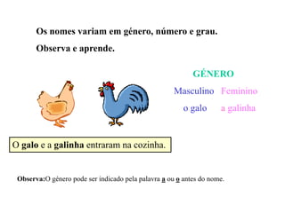 Os nomes variam em género, número e grau.
Observa e aprende.
O galo e a galinha entraram na cozinha.
GÉNERO
Masculino Feminino
o galo a galinha
Observa:O género pode ser indicado pela palavra a ou o antes do nome.
 