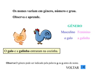 Os nomes variam em género, número e grau.
Observa e aprende.
O galo e a galinha entraram na cozinha.
GÉNERO
Masculino Feminino
o galo a galinha
Observa:O género pode ser indicado pela palavra a ou o antes do nome.
VOLTAR
 