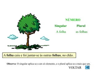 NÚMERO
Singular Plural
A folha as folhas
A folha caiu e foi juntar-se às outras folhas, no chão.
Observa: O singular aplica-se a um só elemento, e o plural aplica-se a mais que um.
VOLTAR
 