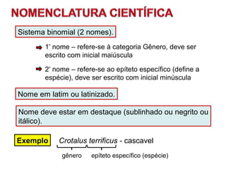 Nome deve estar em destaque (sublinhado ou negrito ou
itálico).
Nome em latim ou latinizado.
2º
nome – refere-se ao epíteto específico (define a
espécie), deve ser escrito com inicial minúscula
Sistema binomial (2 nomes).
1º
nome – refere-se à categoria Gênero, deve ser
escrito com inicial maiúscula
gênero epíteto específico (espécie)
Crotalus terrificus - cascavelExemplo
 