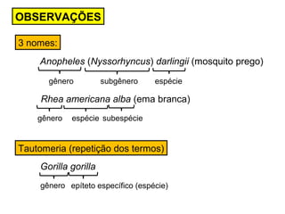 3 nomes:
Anopheles (Nyssorhyncus) darlingii (mosquito prego)
Rhea americana alba (ema branca)
OBSERVAÇÕES
gênero subgênero espécie
gênero espécie subespécie
Tautomeria (repetição dos termos)
Gorilla gorilla
gênero epíteto específico (espécie)
 