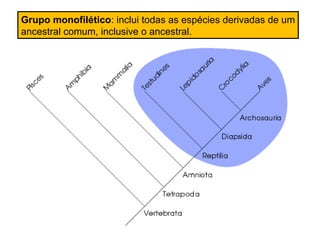 Grupo monofilético: inclui todas as espécies derivadas de um
ancestral comum, inclusive o ancestral.
 