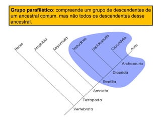 Grupo parafilético: compreende um grupo de descendentes de
um ancestral comum, mas não todos os descendentes desse
ancestral.
 