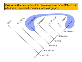 Grupo polifilético: reúne dois ou mais grupos monofiléticos que
não inclui o ancestral comum a todos os grupos.
 
