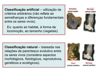 Classificação natural – baseada nas
relações de parentesco evolutivo entre
os seres vivos (considera aspectos
morfológicos, fisiológicos, reprodutivos,
genéticos e ecológicos).
Classificação artificial – utilização de
critérios arbitrários (não reflete as
semelhanças e diferenças fundamentais
entre os seres vivos).
Ex: quanto ao habitat, à forma de
locomoção, ao tamanho (vegetais)
 