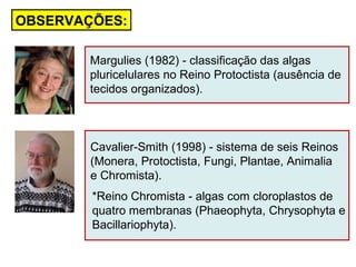 Cavalier-Smith (1998) - sistema de seis Reinos
(Monera, Protoctista, Fungi, Plantae, Animalia
e Chromista).
OBSERVAÇÕES:
*Reino Chromista - algas com cloroplastos de
quatro membranas (Phaeophyta, Chrysophyta e
Bacillariophyta).
Margulies (1982) - classificação das algas
pluricelulares no Reino Protoctista (ausência de
tecidos organizados).
 