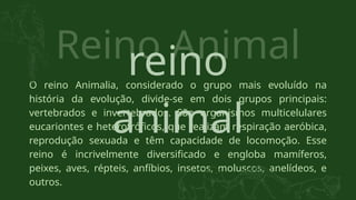O reino Animalia, considerado o grupo mais evoluído na
história da evolução, divide-se em dois grupos principais:
vertebrados e invertebrados. São organismos multicelulares
eucariontes e heterotróficos, que realizam respiração aeróbica,
reprodução sexuada e têm capacidade de locomoção. Esse
reino é incrivelmente diversificado e engloba mamíferos,
peixes, aves, répteis, anfíbios, insetos, moluscos, anelídeos, e
outros.
Reino Animal
reino
animal
 