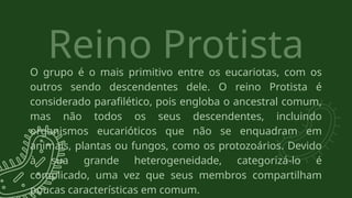 O grupo é o mais primitivo entre os eucariotas, com os
outros sendo descendentes dele. O reino Protista é
considerado parafilético, pois engloba o ancestral comum,
mas não todos os seus descendentes, incluindo
organismos eucarióticos que não se enquadram em
animais, plantas ou fungos, como os protozoários. Devido
à sua grande heterogeneidade, categorizá-lo é
complicado, uma vez que seus membros compartilham
poucas características em comum.
Reino Protista
 
