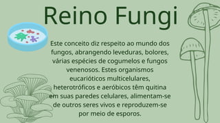Este conceito diz respeito ao mundo dos
fungos, abrangendo leveduras, bolores,
várias espécies de cogumelos e fungos
venenosos. Estes organismos
eucarióticos multicelulares,
heterotróficos e aeróbicos têm quitina
em suas paredes celulares, alimentam-se
de outros seres vivos e reproduzem-se
por meio de esporos.
Reino Fungi
 