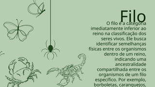Filo
O filo é a categoria
imediatamente inferior ao
reino na classificação dos
seres vivos. Ele busca
identificar semelhanças
físicas entre os organismos
dentro de um reino,
indicando uma
ancestralidade
compartilhada entre os
organismos de um filo
específico. Por exemplo,
borboletas, caranguejos,
 