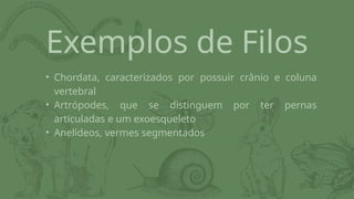 Exemplos de Filos
• Chordata, caracterizados por possuir crânio e coluna
vertebral
• Artrópodes, que se distinguem por ter pernas
articuladas e um exoesqueleto
• Anelídeos, vermes segmentados
 