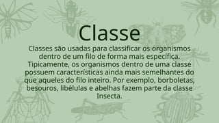 Classes são usadas para classificar os organismos
dentro de um filo de forma mais específica.
Tipicamente, os organismos dentro de uma classe
possuem características ainda mais semelhantes do
que aqueles do filo inteiro. Por exemplo, borboletas,
besouros, libélulas e abelhas fazem parte da classe
Insecta.
Classe
 