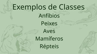 Exemplos de Classes
Anfíbios
Peixes
Aves
Mamíferos
Répteis
 