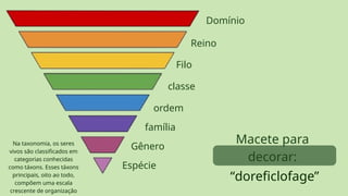 Na taxonomia, os seres
vivos são classificados em
categorias conhecidas
como táxons. Esses táxons
principais, oito ao todo,
compõem uma escala
crescente de organização
Domínio
Reino
Filo
classe
ordem
família
Gênero
Espécie
Macete para
decorar:
“doreficlofage”
 