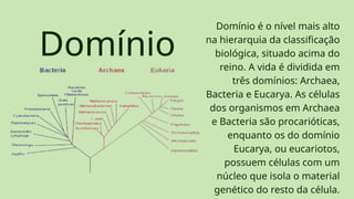 Domínio
Domínio é o nível mais alto
na hierarquia da classificação
biológica, situado acima do
reino. A vida é dividida em
três domínios: Archaea,
Bacteria e Eucarya. As células
dos organismos em Archaea
e Bacteria são procarióticas,
enquanto os do domínio
Eucarya, ou eucariotos,
possuem células com um
núcleo que isola o material
genético do resto da célula.
 