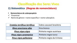 2) Sistemática (Regras de nomenclatura)
▪ Nomenclatura de subespespécie
✓ Trinominal
✓ Nome do gênero + nome específico + nome subespécie.
Crotalus terrificus terrificus Cobra cascavel brasileira
Rhea americana alba Ema branca
Pinus nigra nigra Pinheiro negro austríaco
Pinus nigra caramanica Pinheiro negro turco
Pinus nigra pallasiana Pinheiro negro da Crimeia
Classificação dos Seres Vivos
 