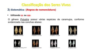 2) Sistemática (Regras de nomenclatura)
▪ Utilizando sp. ou spp.
O gênero Polystira possui várias espécies de caramujos, conforme
evidenciado nas conchas abaixo:
Classificação dos Seres Vivos
 