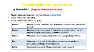 2) Sistemática (Regras de nomenclatura)
▪ Táxons acima de espécie: nomenclatura uninominal
▪ Inicial maiúscula em latim.
▪ Não é necessário itálico ou grifo.
Família Felidae (gatos), Canidae (cães), Fabaceae (Leguminosas), Rosaceae
(rosas).
Ordem Carnivora (cão, gato, urso), Primata (homem, chimpanzé, gorila),
Fabales (vagem, feijão, soja), Asterales (girassol)
Classe Mammalia (mamíferos), Reptile (répteis), Amphibia (anfíbios).
Filo Chordata (cordados), Pteridophyta (samambaias), Mollusca
(moluscos), Arthropoda (artrópodes).
Reino Animmalia (animais), Plantae (plantas), Fungi (fungos)
Classificação dos Seres Vivos
 