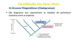 4) Árvores Filogenéticas (Cladogramas)
▪ São diagramas que representam as relações de parentesco
evolutivo entre as espécies.
Classificação dos Seres Vivos
 