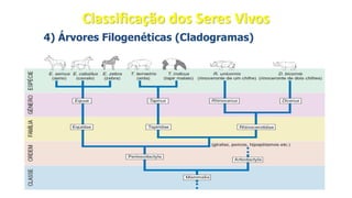 4) Árvores Filogenéticas (Cladogramas)
Classificação dos Seres Vivos
 