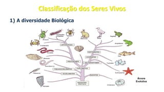 1) A diversidade Biológica
Árvore
Evolutiva
Classificação dos Seres Vivos
 