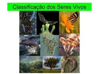 Classificação dos Seres Vivos
 