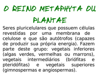 Classificação dos Seres Vivos