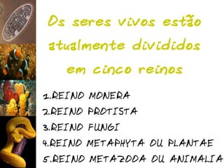 Classificação dos Seres Vivos