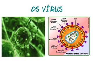 Classificação dos Seres Vivos