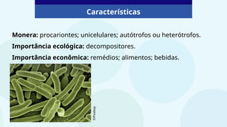 Características
Monera: procariontes; unicelulares; autótrofos ou heterótrofos.
Importância ecológica: decompositores.
Importância econômica: remédios; alimentos; bebidas.
©Pixabay
 