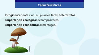 Fungi: eucariontes; uni ou pluricelulares; heterótrofos.
Importância ecológica: decompositores.
Importância econômica: alimentação.
Características
©Pixabay
 