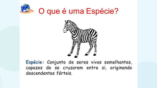 classificaçãoseresvivos.pptxbiologiappt