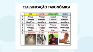 classificaçãoseresvivos.pptxbiologiappt