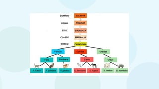 classificaçãoseresvivos.pptxbiologiappt