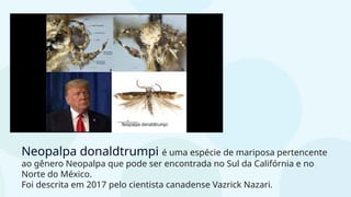 Neopalpa donaldtrumpi é uma espécie de mariposa pertencente
ao gênero Neopalpa que pode ser encontrada no Sul da Califórnia e no
Norte do México.
Foi descrita em 2017 pelo cientista canadense Vazrick Nazari.
 