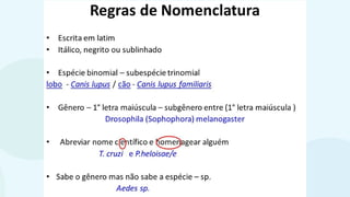 classificaçãoseresvivos.pptxbiologiappt