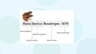 classificaçãoseresvivos.pptxbiologiappt