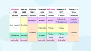 classificaçãoseresvivos.pptxbiologiappt
