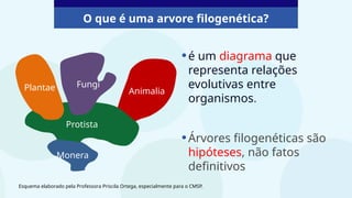 •é um diagrama que
representa relações
evolutivas entre
organismos.
•Árvores filogenéticas são
hipóteses, não fatos
definitivos
Animalia
Monera
Protista
Plantae Fungi
O que é uma arvore filogenética?
Esquema elaborado pela Professora Priscila Ortega, especialmente para o CMSP.
 