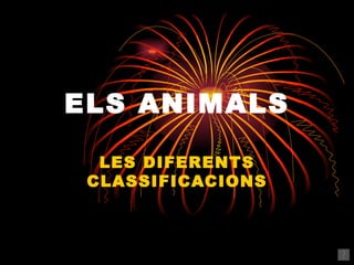 ELS ANIMALS LES DIFERENTS CLASSIFICACIONS 